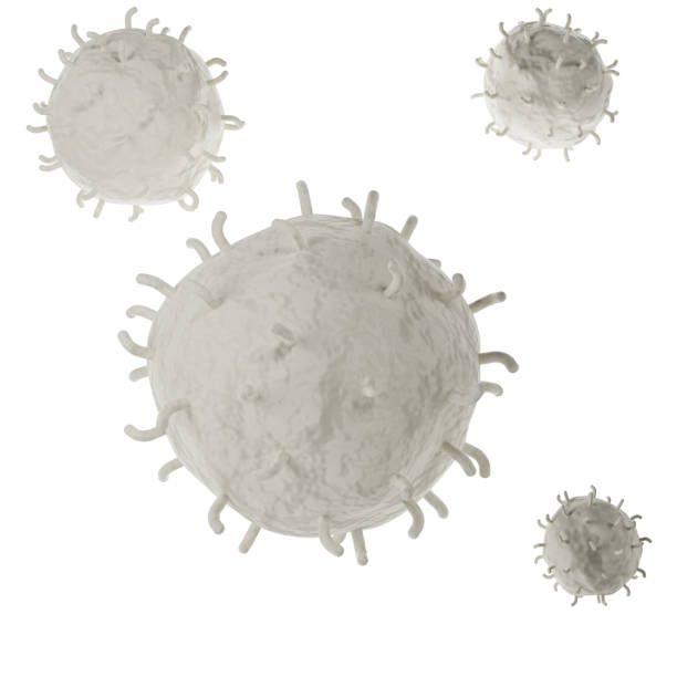 white blood cell 3d realistic icon analysis. leukocytes medical illustration on white background with clipping path - red blood cell imagens e fotografias de stock