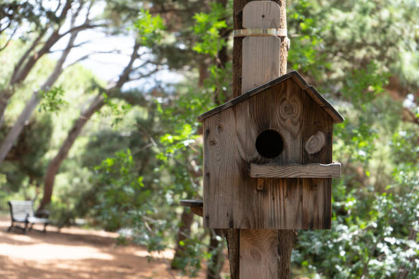istock wooden birdhouse on a tree in a summer park 1616151701
