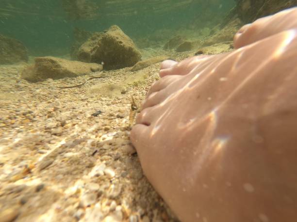 istock Cabrera (17) shrimp in the foot 1616183983
