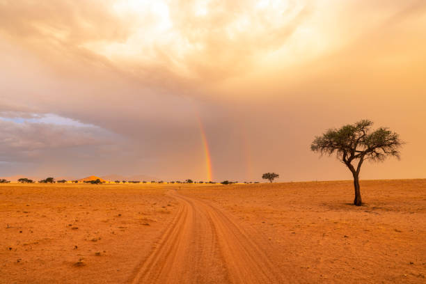 istock Rainbow after the rain in Namib Desert 1616202728
