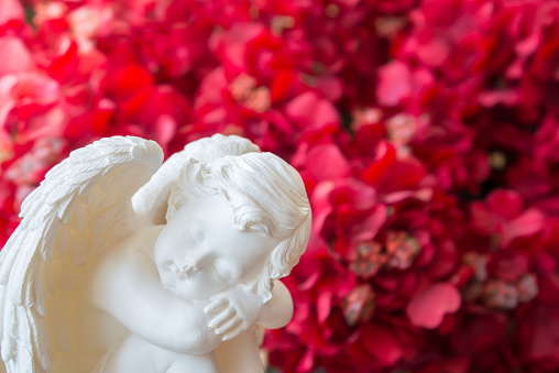 Cute cupid statue with beautiful red flower background. Valentine day, love romantic concept.