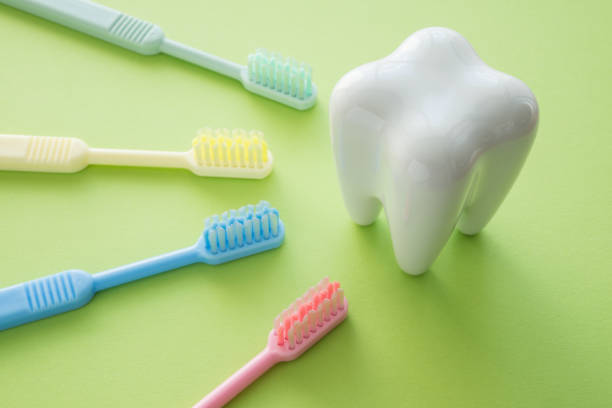 istock White tooth and colorful toothbrush on green background. 1616215400