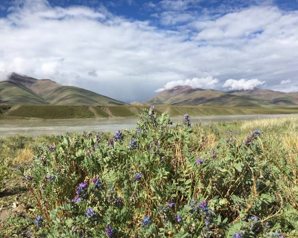 istock Brahmaputra River in August in Tibet, China. 1616221536