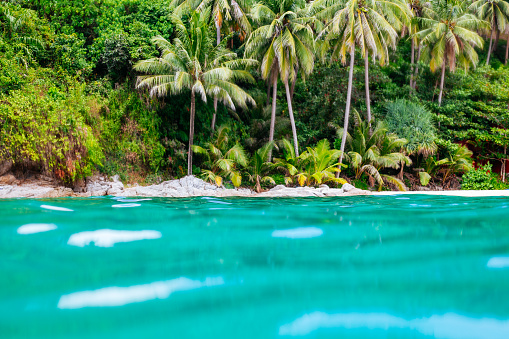 A sandy beach with some rocks and vegetation, and tall green palm trees. A bright turquoise water that is slightly wavy, reflecting the sunlight. A perspective from the water, looking towards the shore, as if the viewer is swimming or snorkeling.