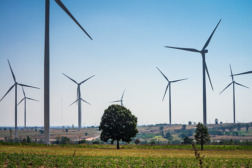 Wind turbines generating electricity with blue sky and agriculture field. Generator from wind power, energy conservation, save environment concept.