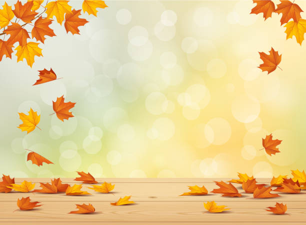 ilustraciones, imágenes clip art, dibujos animados e iconos de stock de fondo de otoño con hojas  - leaf autumn horizontal backgrounds