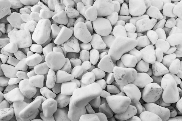 istock White decorative pebble. Natural stone gravel surface in the garden. 1616312320