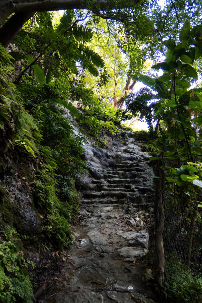 discovering hidalgo grutas, a journey through nature beauty - ancient forest arch architecture imagens e fotografias de stock