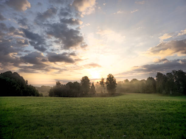 Early morning with sunrise on the horizon.Incredibly beautiful light with fog over fields. Oats in the foreground. Beautiful clouds in the sky.