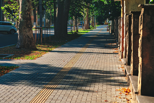 Sidewalk in the city park on a sunny autumn day