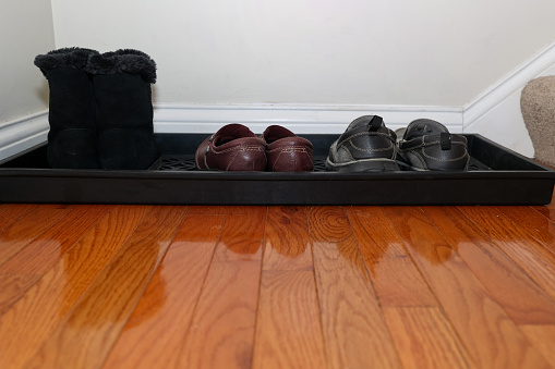 Shoes sitting on a entryway shoe tray by the front door of a home
