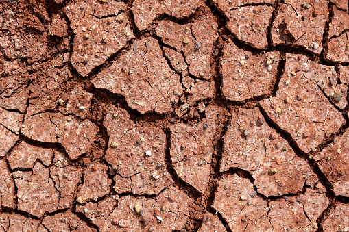 Explore the intricate patterns of geological phenomena like Grietas Mudcrack. Witness the interplay of brown, red, and carmine hues amidst landscapes of clay and wood