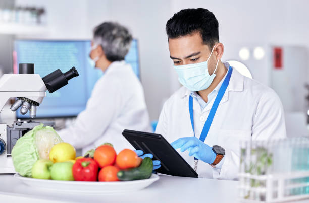 scientist, study and laboratory with vegetable with tablet for test with online app for nutrition. research, diet and science expert with food or technology for information with internet for quality. - close up medical test exam people imagens e fotografias de stock