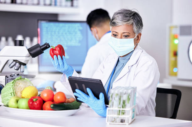 mulher cientista, vegetais e laboratório com tablet para informações sobre aplicativo ou pesquisa para dieta. ciência, especialista e estudo com tecnologia para alimentos ou análise com leitura sobre agricultura ou experimento. - healthcare and medicine digital tablet medical exam doctor - fotografias e filmes do acervo