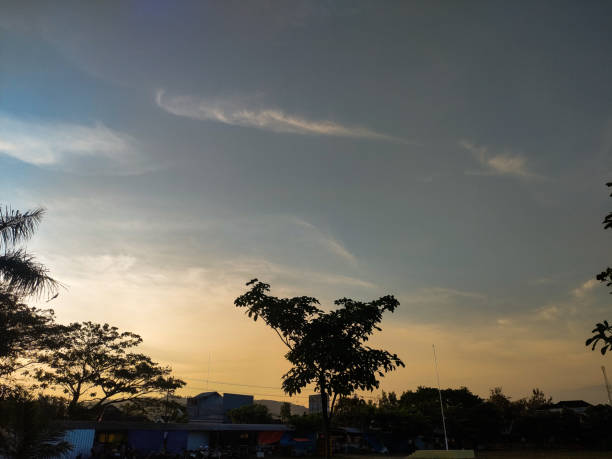 Serenity in the City: Capturing the Tranquil Beauty of a Sunny Day and Vibrant Night