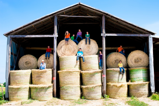 A midwestern group of children and teens climb and play on the stacked hay bales in the storage barn on a farm. Americana.