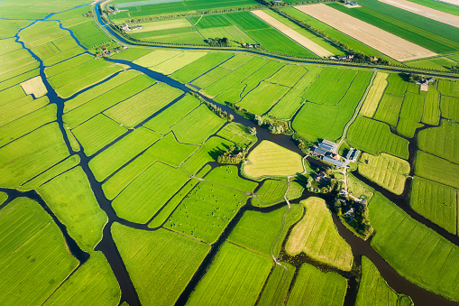 Aerial view of green field. Netherlands. Canals with water for agriculture. Fields and meadows. Landscape from a drone.
