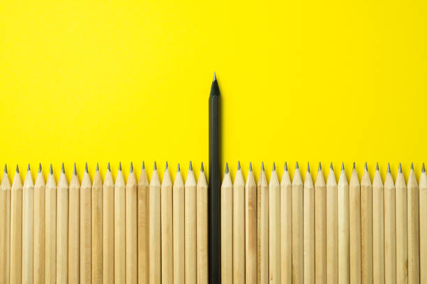 istock Leader black pencil higher than other simple pencils on yellow background. 1616475445