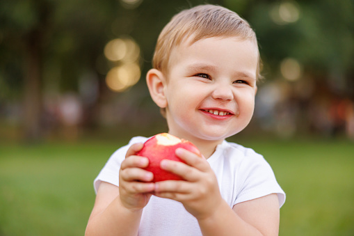 Portrait of cute little baby boy sitting on grass while on picnic with his parents eating an apple and smiling