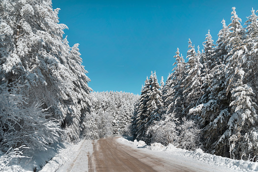 Winter road in the winter snowy mountain . Vitosha mountain, Bulgaria