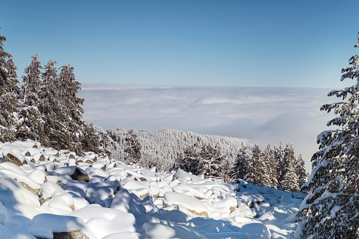 Beautiful Winter Mountain Landscape  from Vitosha Mountain, Bulgaria