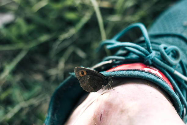 Butterfly sitting On scared foot , Etseri,  Svaneti,  Georgia