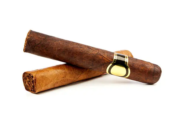 Two fine cigars on white background