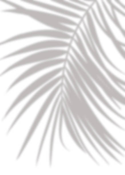 istock Shadow Palm Leaves silhouette on white wall background, Tropical Coconut Leaf Overlay, Element object for Spring Summer, Mock up Product Presentation 1616563650
