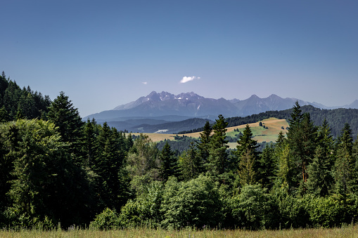 Landscape with Tatra mountains viewed from Husciawa in Pieniny, Poland. Green forest in foreground. No people, sunny summer day.