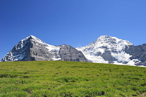 юнгфрау с зеленой траве - mountain switzerland scuol mountain peak стоковые фото и изображения