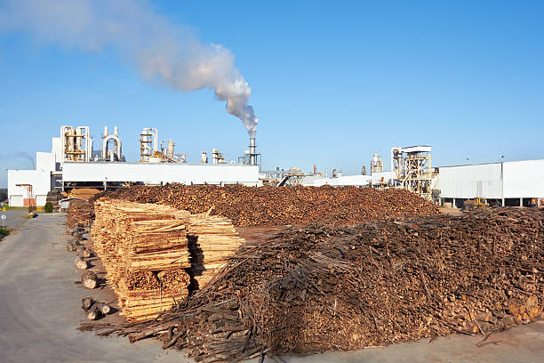 istock Wood against Paper Factory 161657323
