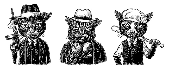 Set cats mafia. Don, capo, soldier. Vintage black engraving illustration. Isolated on white background. Hand drawn design element for t-shirt and poster