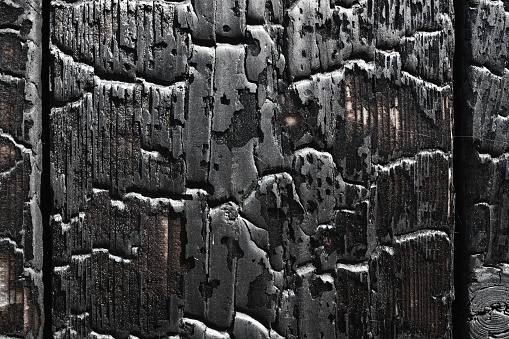 Burnt wooden board texture. Sho Sugi Ban Yakisugi is a traditional Japanese method of wood preservation