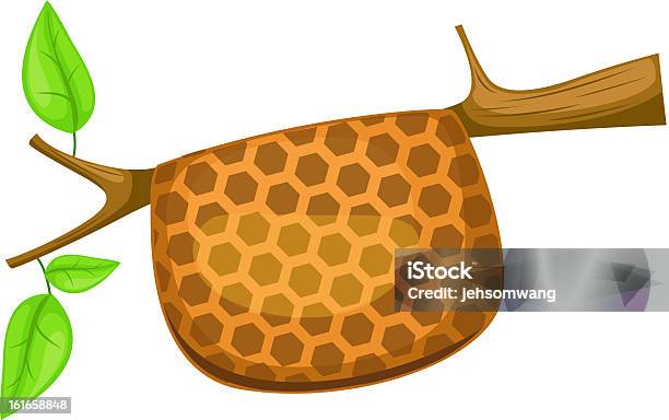 Honeycomb Vector Stock Illustration - Download Image Now - Animal Body Part, Animal Markings, Animal Wildlife