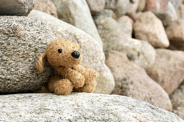 Old plush toy dog abandoned on a stone, a horizontal picture