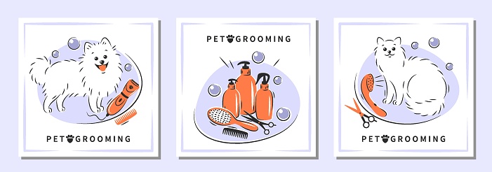 Pet grooming. Cartoon dog and cat character with different tools for animal hair grooming. Set of design for pet care salon. Vector illustration