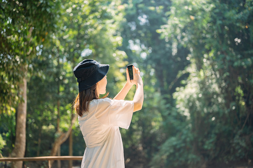 Capturing perfect vacation and beautiful green natural tropical forest