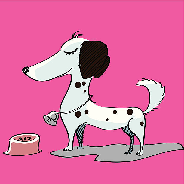 ilustrações de stock, clip art, desenhos animados e ícones de cão-pintado - dog spotted purebred dog kennel