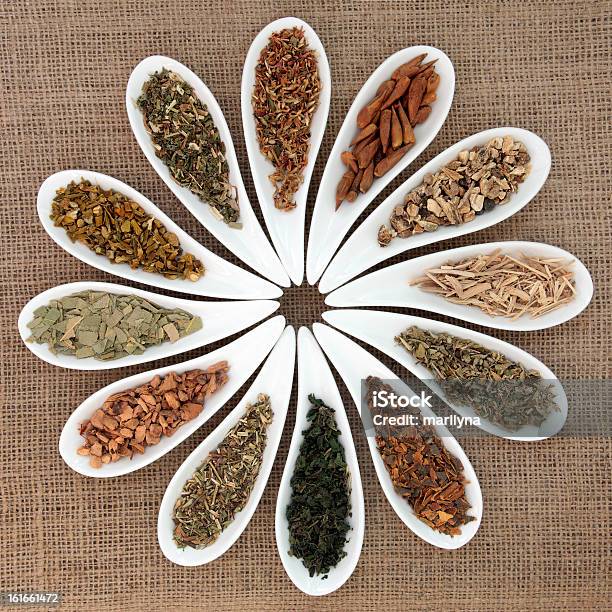 Medicinal And Magical Herbs Stock Photo - Download Image Now - Alternative Medicine, Buckthorn, Choice