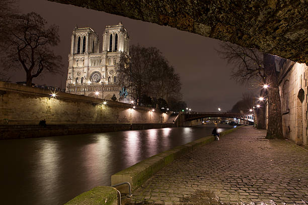 istock On Siene in the night with Notre-Dame 161661698