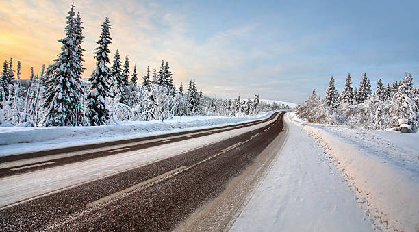 istock Country road in december 161661990