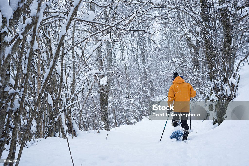 Scarpe da neve - Foto stock royalty-free di Adulto