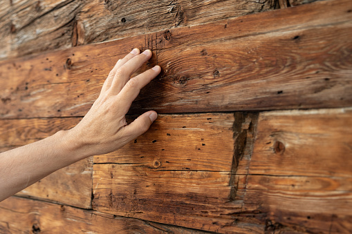 A man's hand lies on the aged wooden wall of a residential building. High quality photo