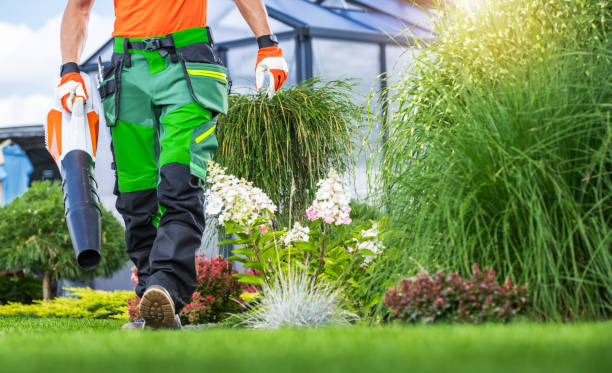 istock Garden Worker Walking Along Back Yard with Air Blower 1616633638