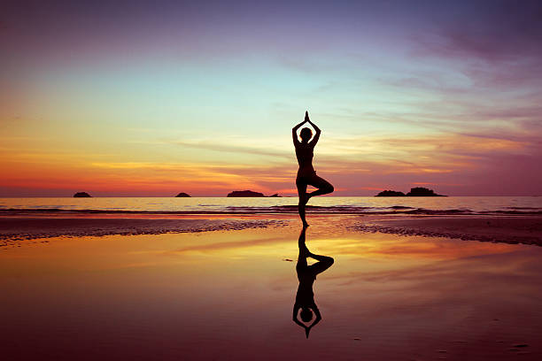 istock Silhouette of a person practicing yoga on a beautiful beach 161663991