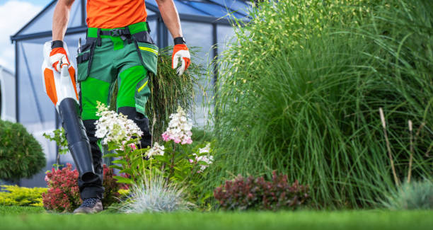 istock Garden Keeper with Air Blower Cleaning the Yard 1616641217