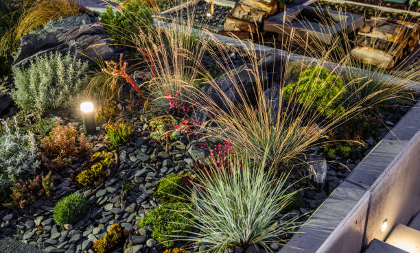 istock Newly Built Rockery Garden with LED Lighting Posts 1616642874