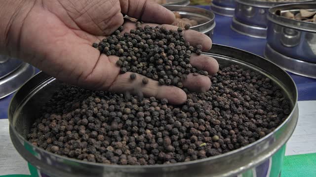 A man checks the quality of black pepper, or piper nigrum, in a container