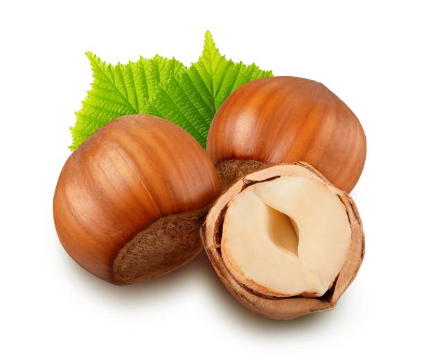 istock Hazelnut with leaves isolated on white background 1616663685