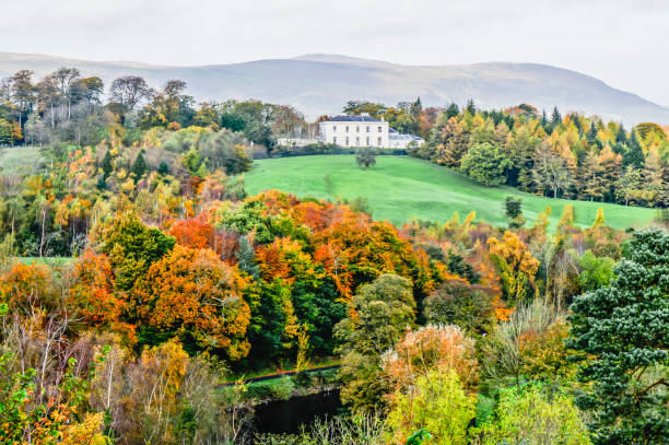 istock Old home sits on top of a hill surrounded by a forest. 1616683159